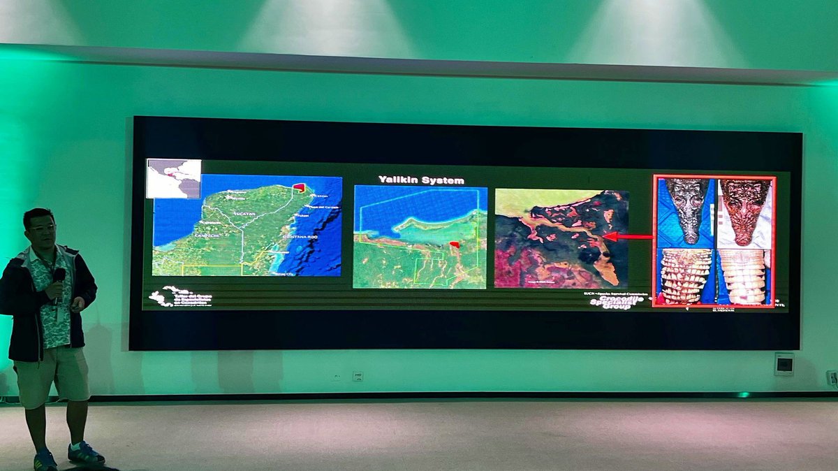 Croc_Research's tweet image. Dr. Mauricio González at CSG/IUCN 🇸🇻 (Sept 24–26, 2025) featuring Raziel Sáez &amp;amp; Joana F. Batalha on crocodile head-shape morphometrics. 
#CSG #IUCN #Morphometrics #Crocodiles