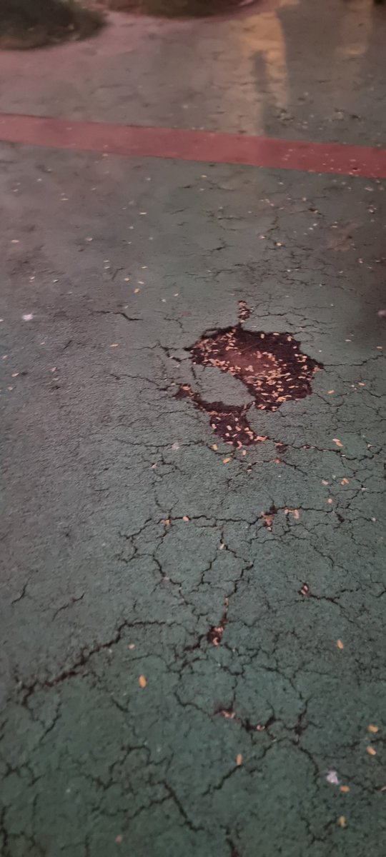 umergopalani's tweet photo. Two days ago, a senior citizen fell in the walking garden and was badly injured due to the broken flooring mat. It’s a serious safety hazard — needs urgent repair before another mishap!
@CMOMaharashtra @mybmcWardD @mybmc @MumbaiPolice @GamdeviPS https://t.co/U7DTPKFCqc