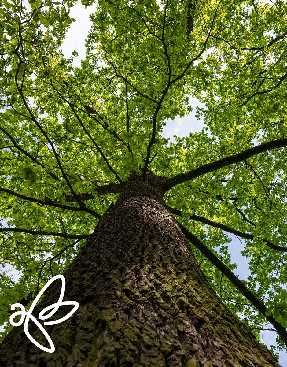 ActiveEMS's tweet photo. Cutting carbon doesn’t have to mean slowing down production.

Many businesses are finding that reshoring PCB assembly reduces emissions while improving delivery times. 

Speak to the team about bringing your production back to the UK. https://t.co/Ps51J5S8a3