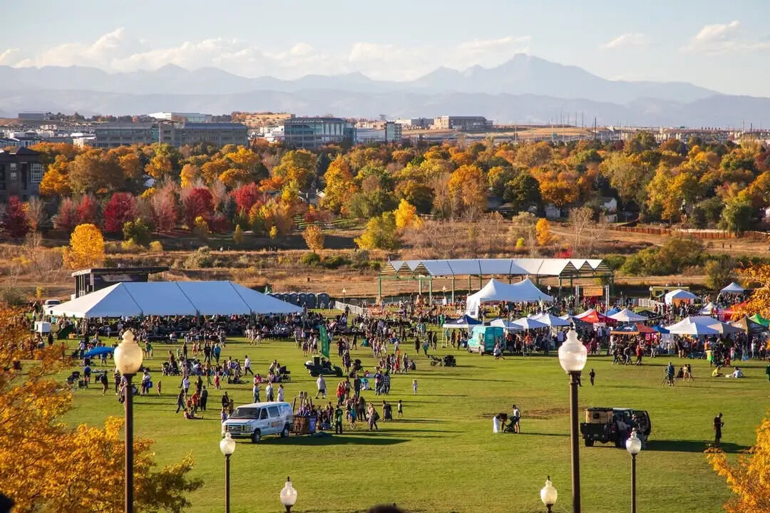 Jack Johnson tweet media