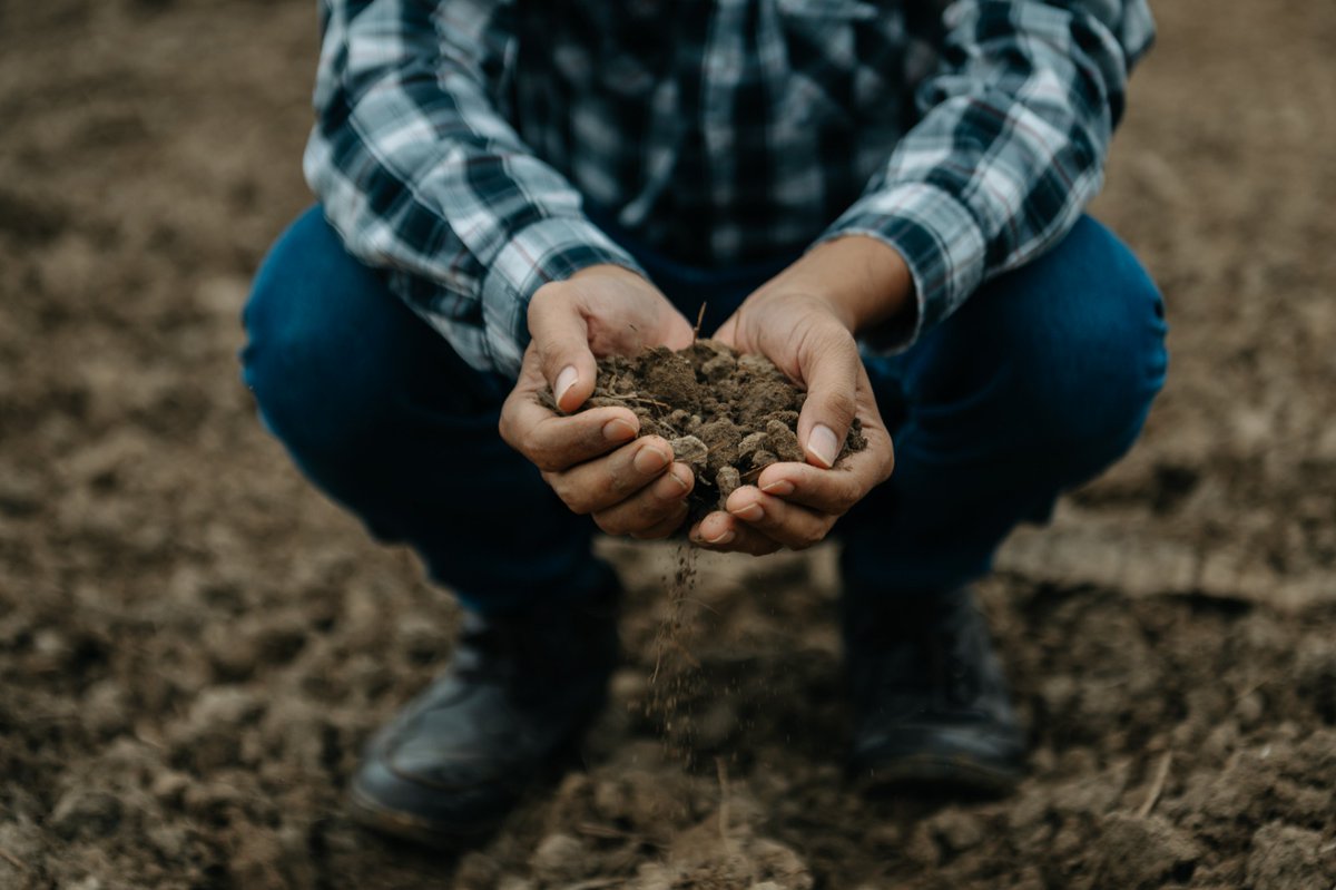 InvestorNewsCom's tweet photo. Farmers Take Back Control: FuelPositive’s Green Ammonia Revolution https://t.co/EbAkQhcUek 

#GreenAmmonia #Fertilizer #NitrogenFertilizer #Farming #FuelPositive $NHHH.V $NHHHF https://t.co/P3MosLNmHT