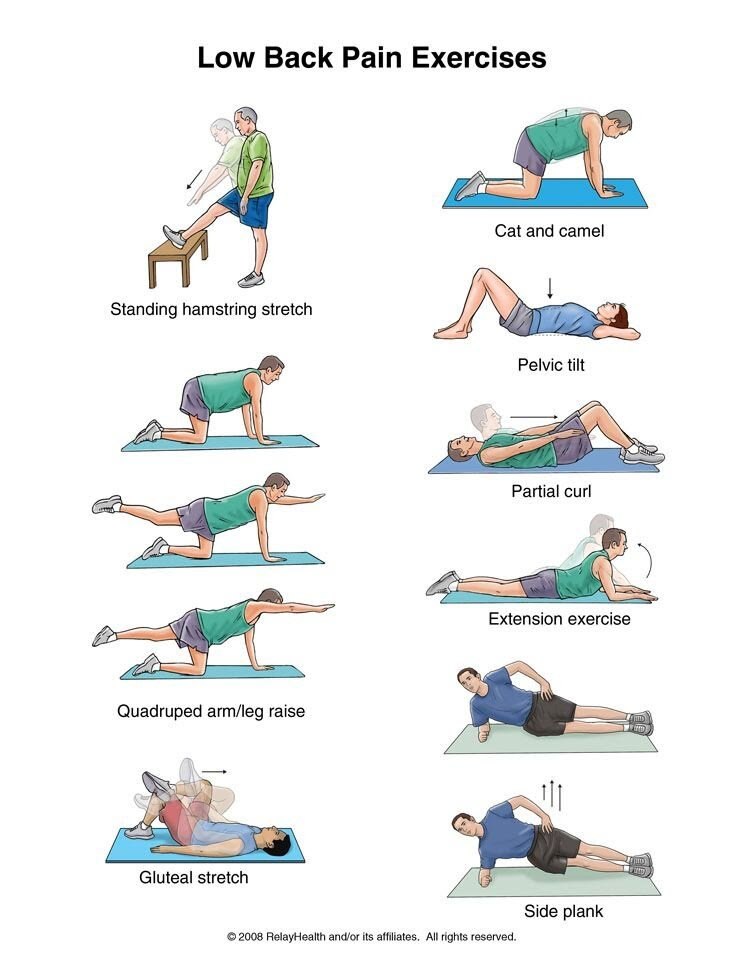 🧘 Exercises for Lower Back Pain relief:-

Do (or work up to) 3 sets of 10-15 reps per exercise or 3 sets of 15-30 sec per hold exercise.

To be done at least 3 times/ week for 6 weeks.