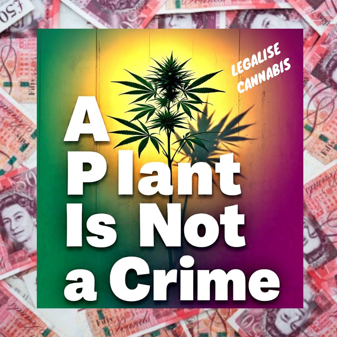 money2smoke's tweet photo. DECRIMINALISE CANNABIS! #cannabis #decriminalise #banprohibition #CannabisCommunity https://t.co/tOb71lk3Un