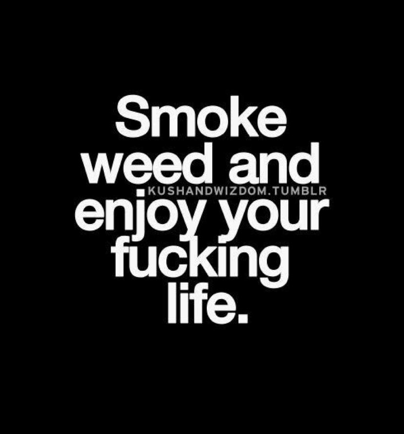 codeinhigh0's tweet image. 
