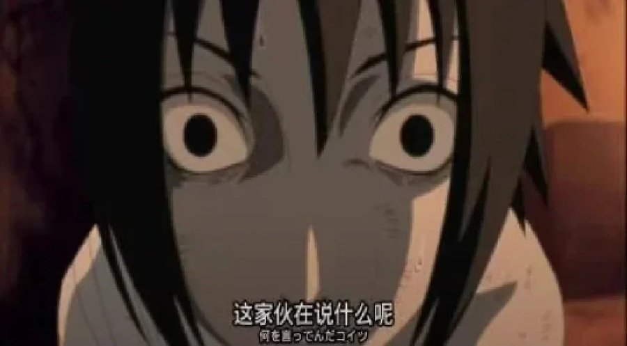 mao (@mao_zhy) on Twitter photo 