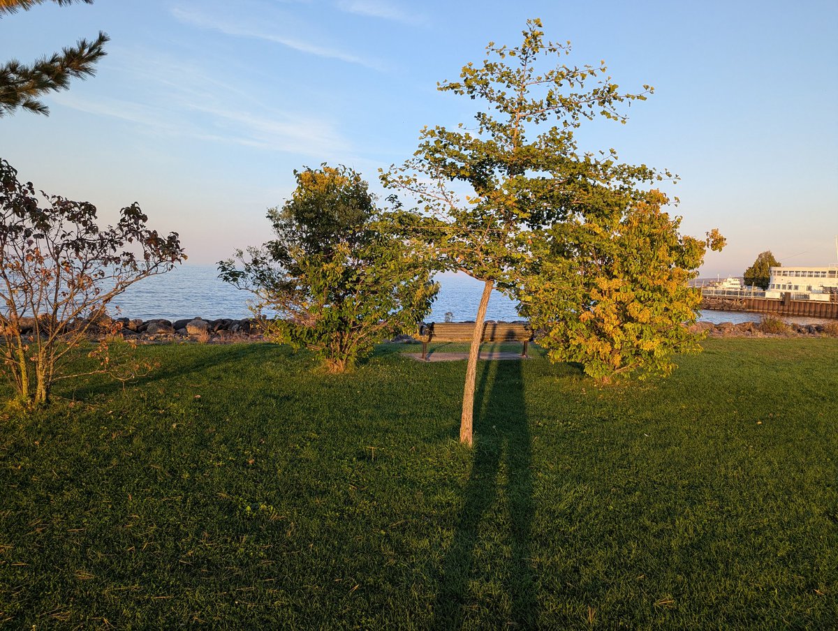 Grampa1950's tweet photo. Good morning from the quiet calm by the water! As the sun stretches the shadows long, it's a gentle reminder that even in the quiet moments, our presence leaves its mark. Wishing you a peaceful and purposeful day. ☀️🌳 #GrampaWisdom #GoodMorning #MorningShadows https://t.co/MuYObECmI3