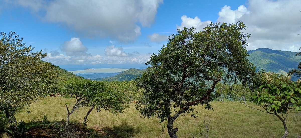 Armando (@apreza54) on Twitter photo 