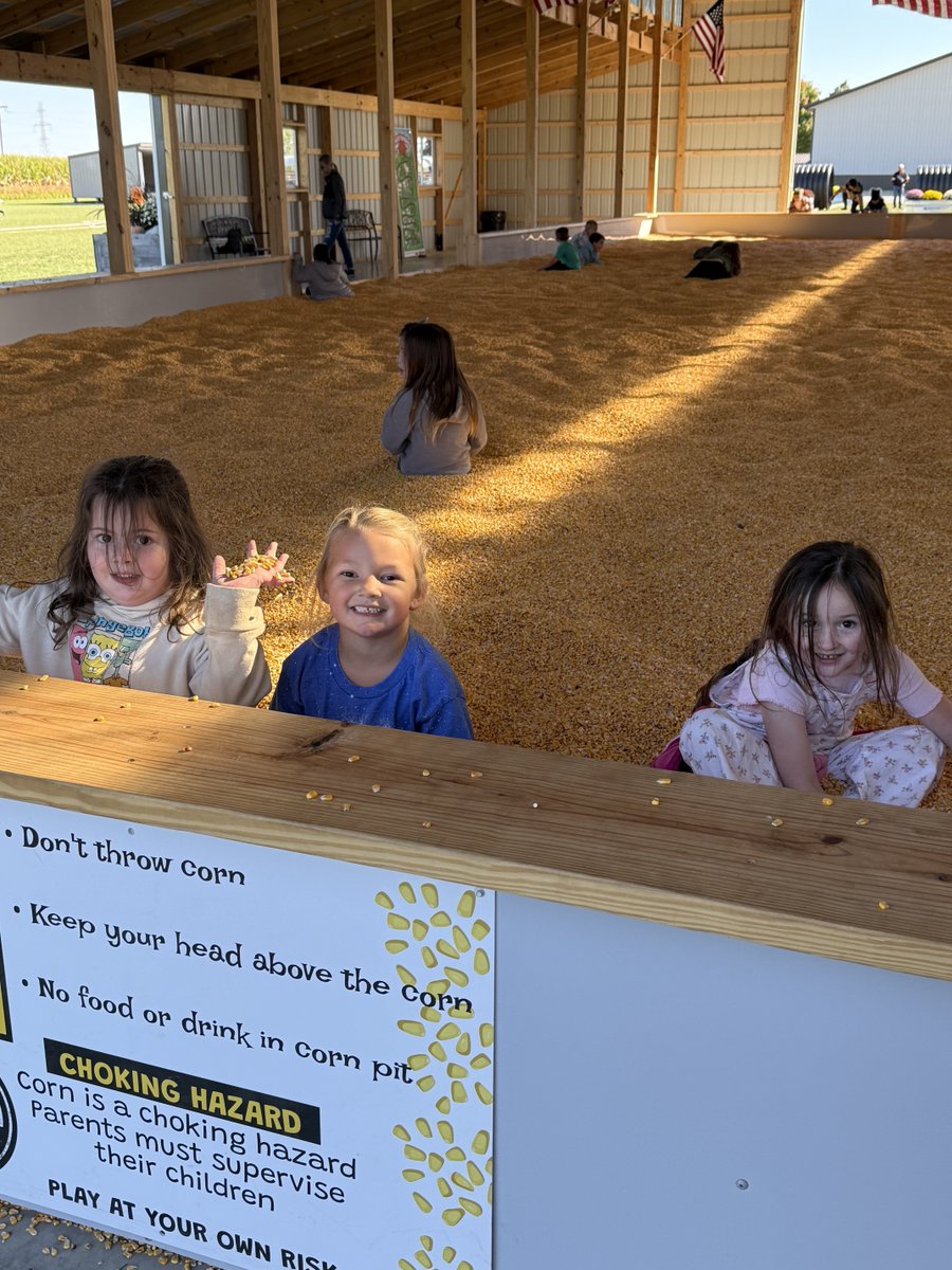 Pumpkin Patch Fun from Mrs. Knott's class!