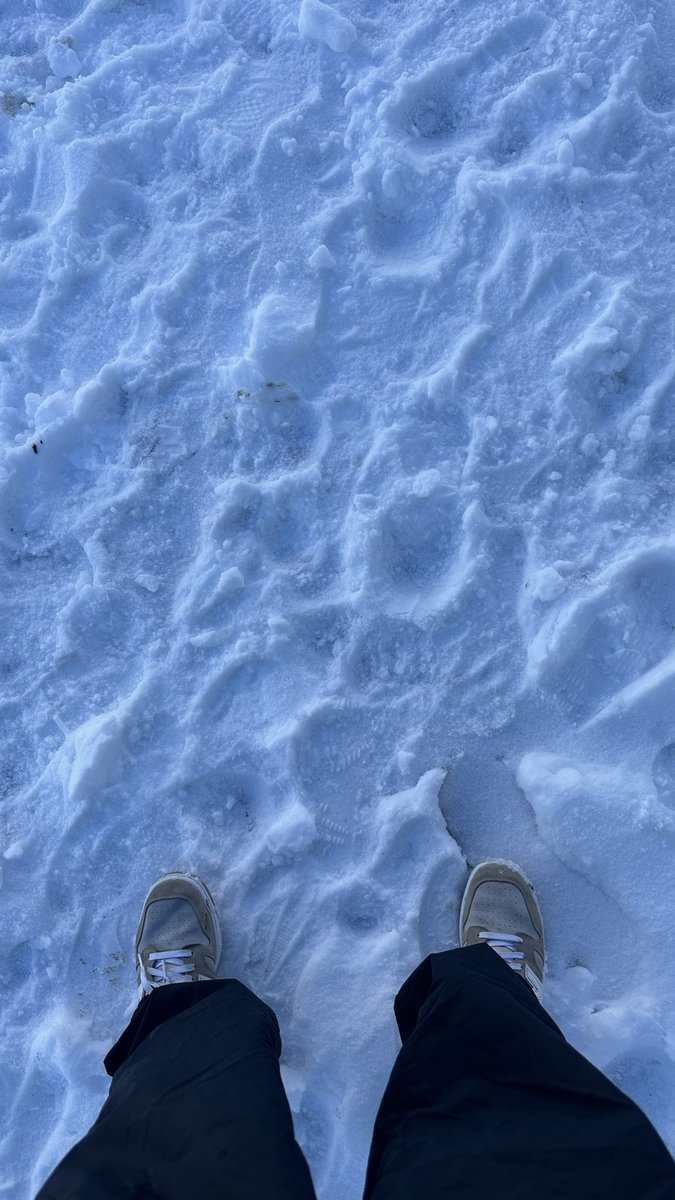 Abdulmohsen tweet media