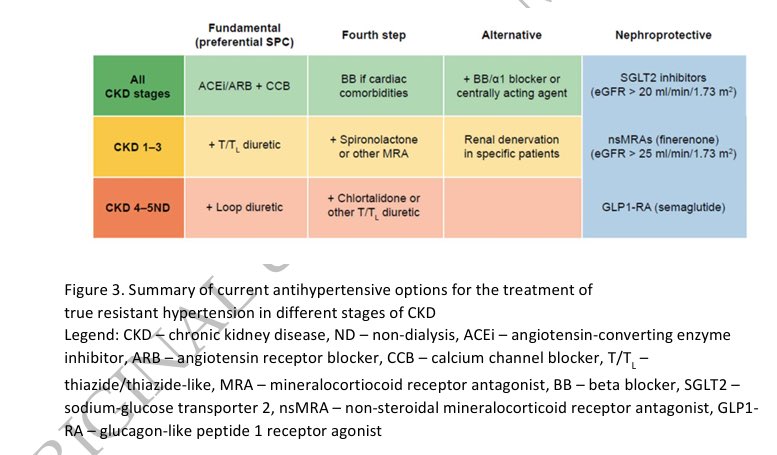🫘Managing Resistant Hypertension in CKD

doi.org/10.1093/ckj/sf…

<a href="/CKJsocial/">CKJ</a>