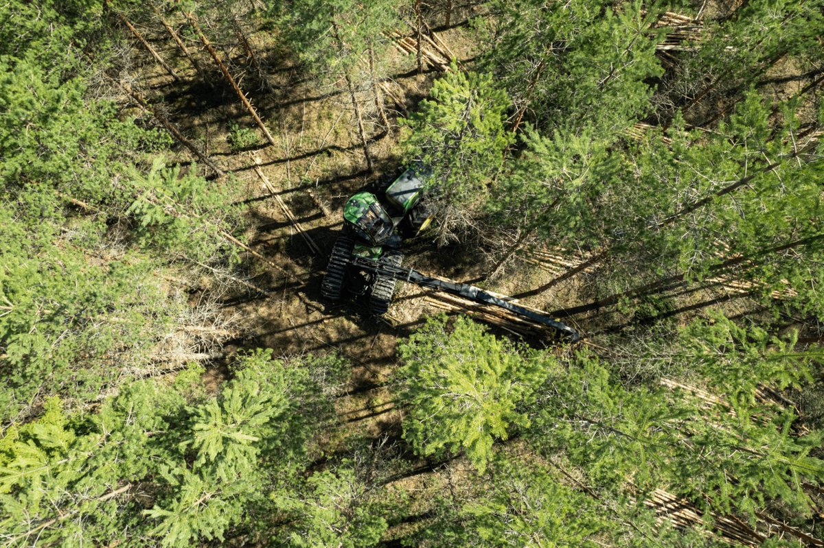 Mikä stressaa puuhuollon ammattilaisia?🌲Luken kysely selvitti puuhuoltoketjun työntekijöiden #työhyvinvointi'a ja stressin syitä.  

🔗Lue vierasblogista, miten eri ammattiryhmät sijoittuivat vertailussa ja mistä kuormitustekijät koostuvat: metsahyvinvointi.fi/blog/mika-stre…  <a href="/mmsaatio/">Metsämiesten Säätiö</a>