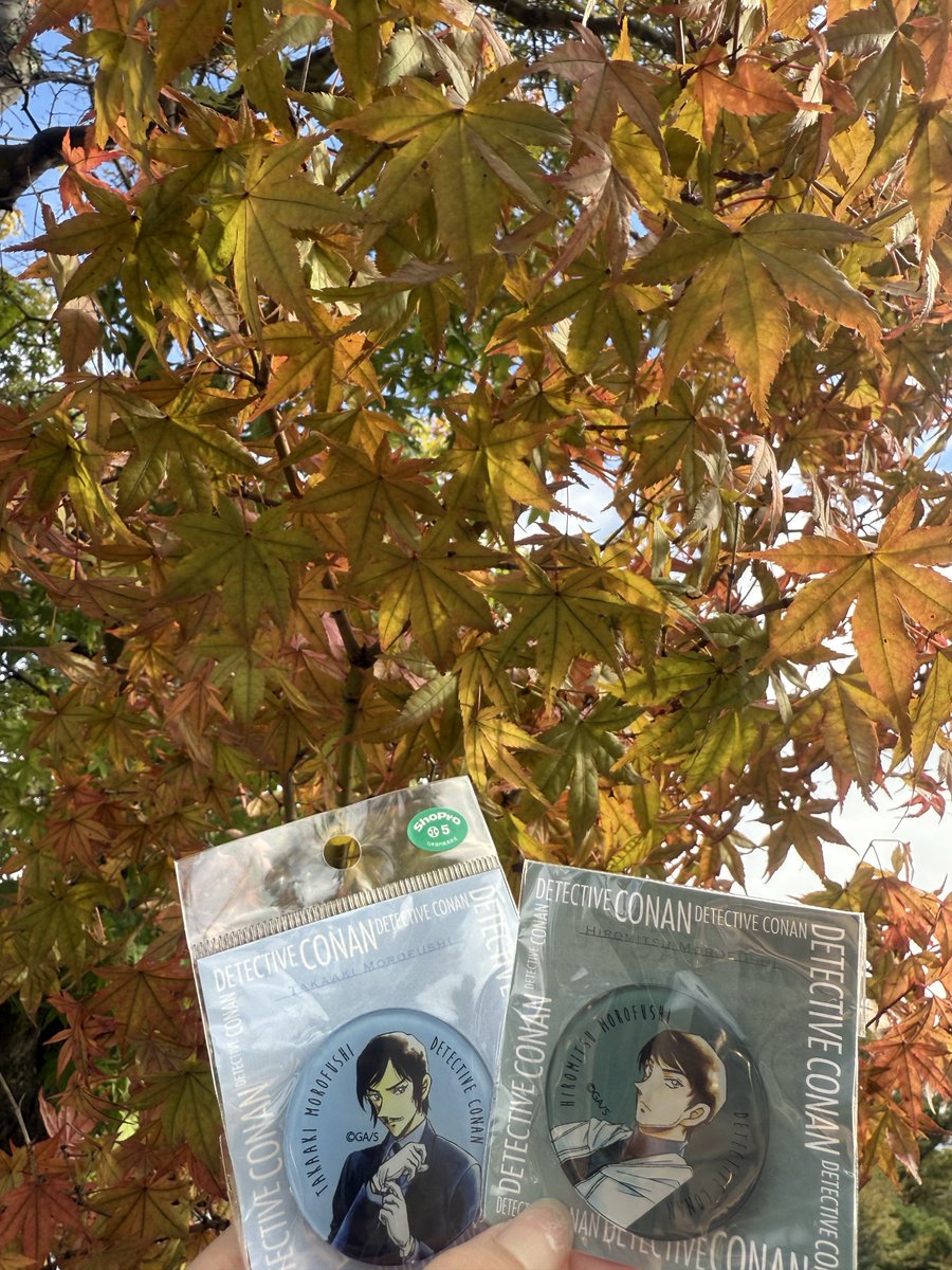 乗り換え37分の間で
爆速でツルヤで買い物して
紅葉も見れて
仕事の合間だけど長野満喫してる