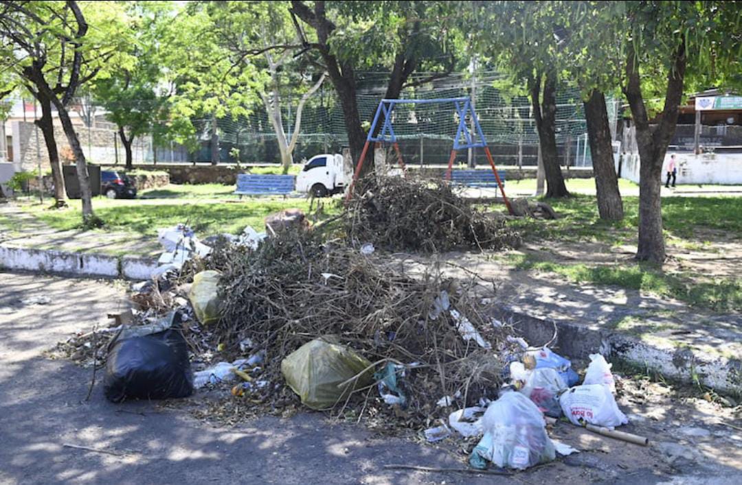 CuartoPoder_Py's tweet image. 🔴LA PRIMAVERA HACE FLORECER EN ASUNCIÓN VERTEDEROS EN AVENIDAS
◾La reciente llegada de la primavera coincidió con el "florecimiento" de vertederos irregulares en varios barrios de Asunción. Vecinos de Virgen del Huerto, Bella Vista y Virgen de la Asunción, reclaman a la…