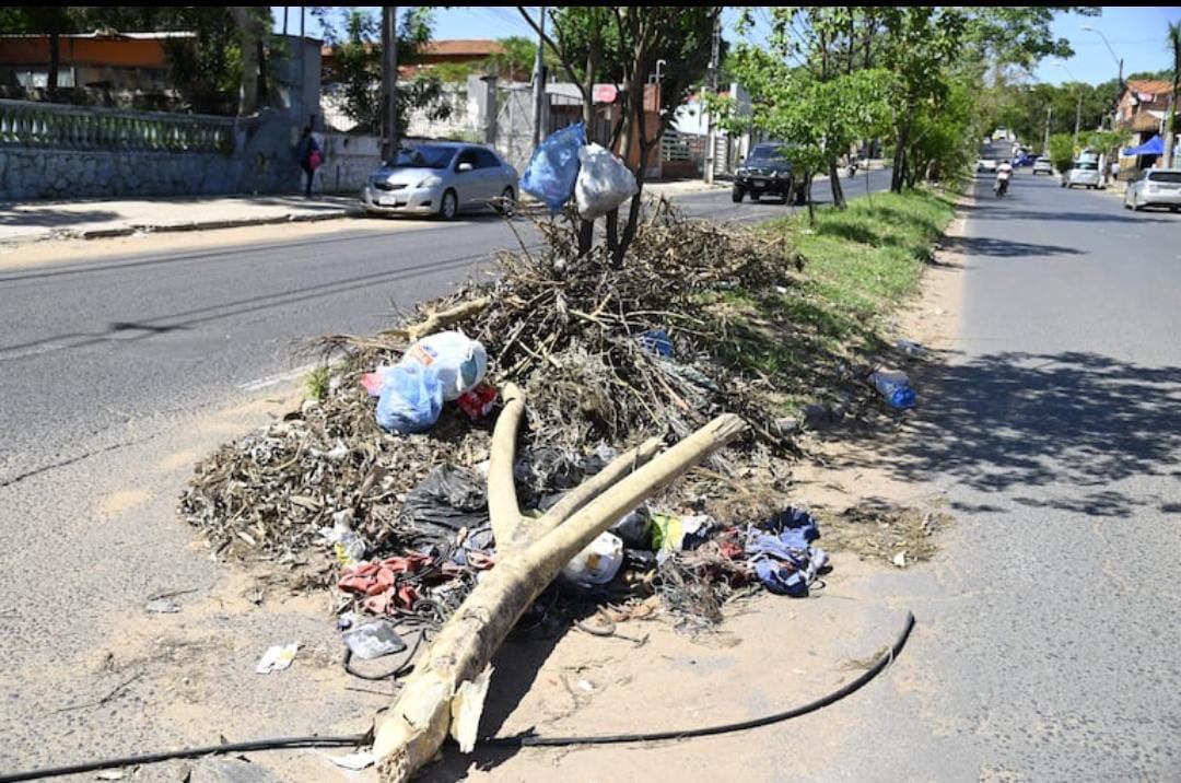 CuartoPoder_Py's tweet image. 🔴LA PRIMAVERA HACE FLORECER EN ASUNCIÓN VERTEDEROS EN AVENIDAS
◾La reciente llegada de la primavera coincidió con el "florecimiento" de vertederos irregulares en varios barrios de Asunción. Vecinos de Virgen del Huerto, Bella Vista y Virgen de la Asunción, reclaman a la…
