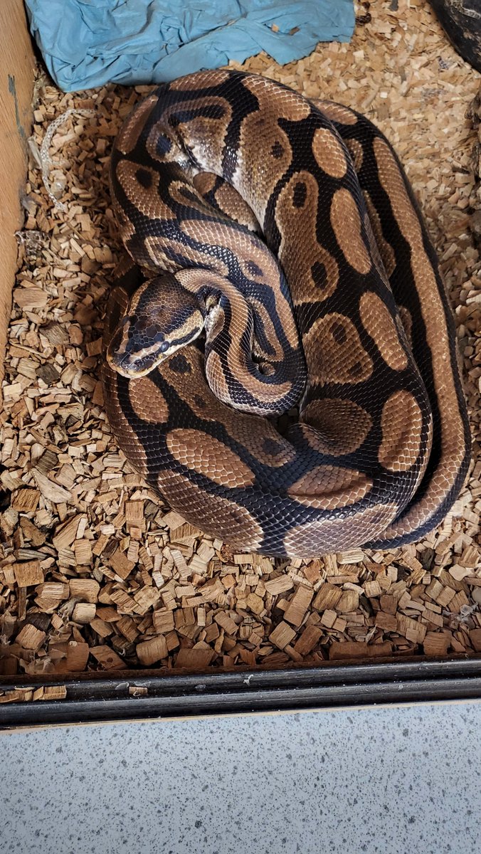 The Ellesmere Port CE College tweet media