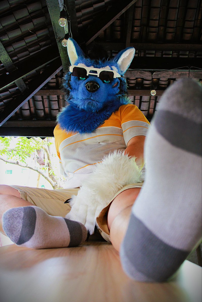 UminekoFursuit's tweet image. Just a middle-aged drunk…
📸:Pletch MhaKhao
#Mareas #Ardu #FursuitEveryday