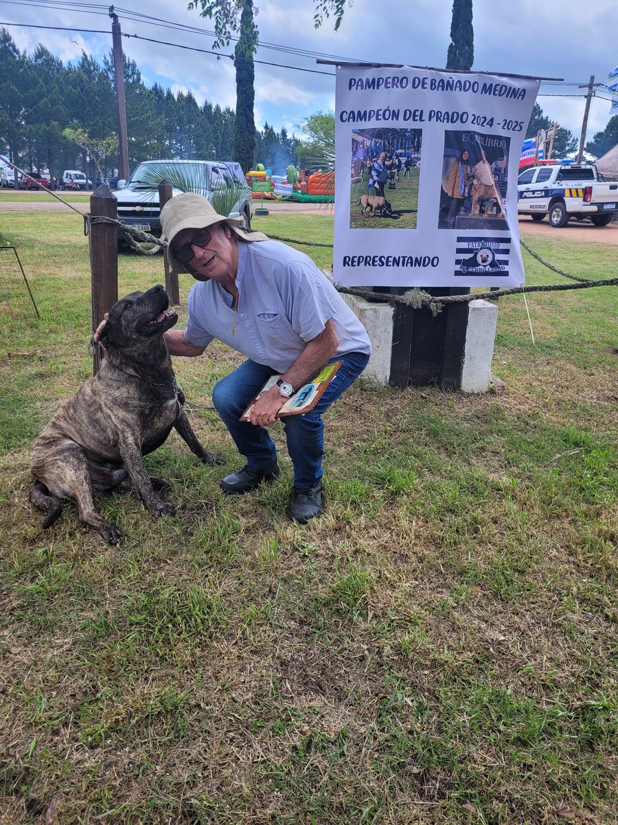 Buen día Orientales; 13 grados . El de la foto Campeón uruguayo ,campeón Brasilero , campeón de campeones . Cimarrón del  criadero de Julio Lopez , Bañado de Medina ¡ vamos!