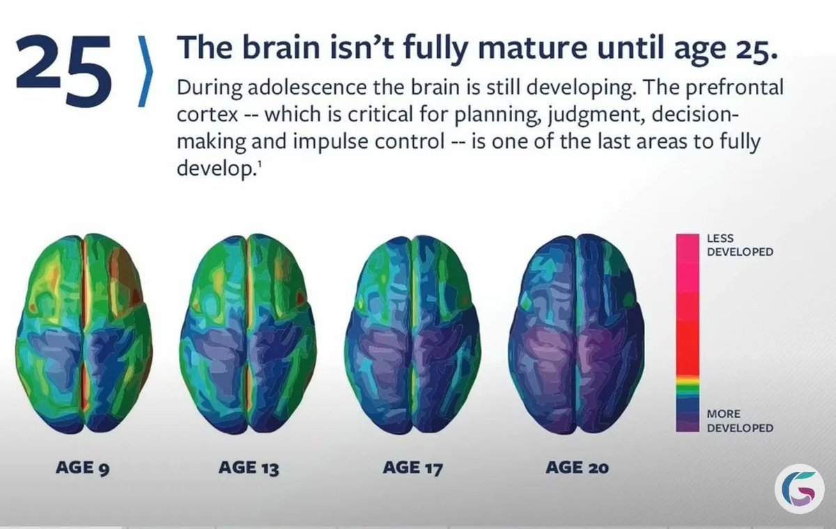 Beyond the personal testimonies, the scientific evidence, or rather the alarming lack thereof, exposes the deeply unethical nature of widespread medical transition for minors. The claim that these interventions are “evidence-based” is a dangerous deception, fundamentally