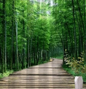 Buen día 💚...
Buena vida Hoy ✨🙌🏽🧿🫂