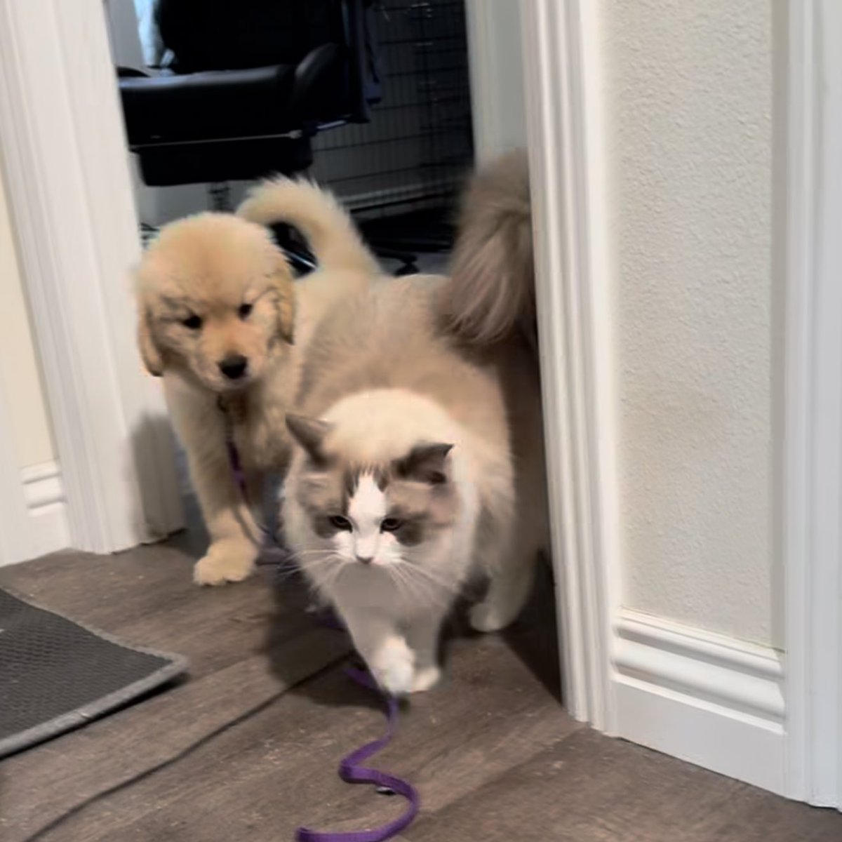 พี่ค้าบ เปนเพื่อนกันน้า ไม่ได้เหรอ งั้นเปนแฟนก้ได้