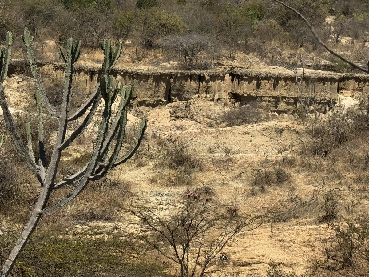 MakariusItambu's tweet photo. Paysage de la région de Singida https://t.co/vkaDCgJ5Pj
