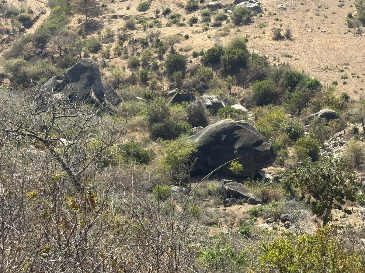 MakariusItambu's tweet photo. Paysage de la région de Singida https://t.co/vkaDCgJ5Pj