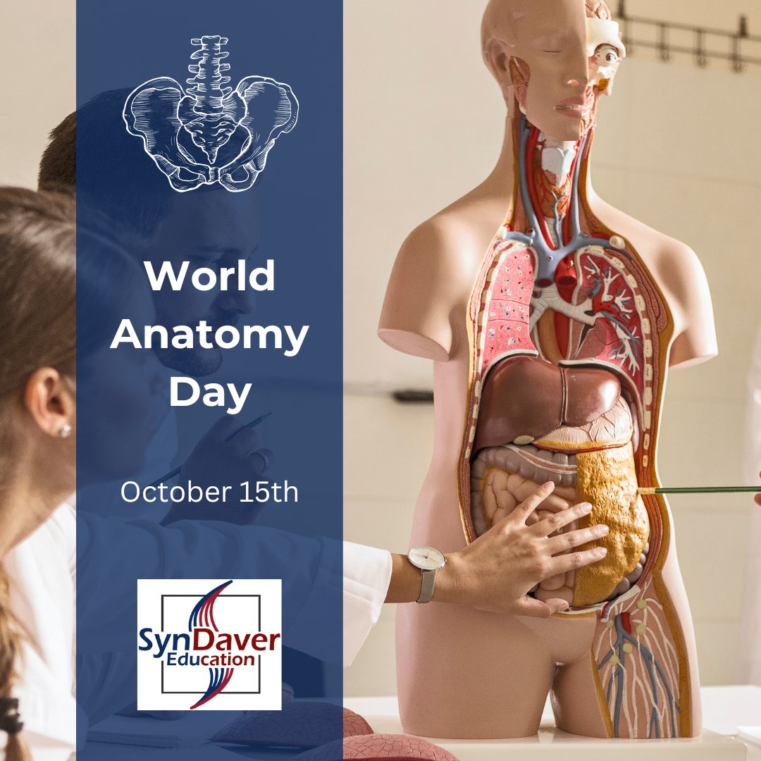 Happy World Anatomy Day! 

Today we celebrate the incredible science of the human body and the educators who bring anatomy to life every day. At SynDaver Education, we’re proud to support hands-on learning experiences that inspire the next generation of healthcare professionals
