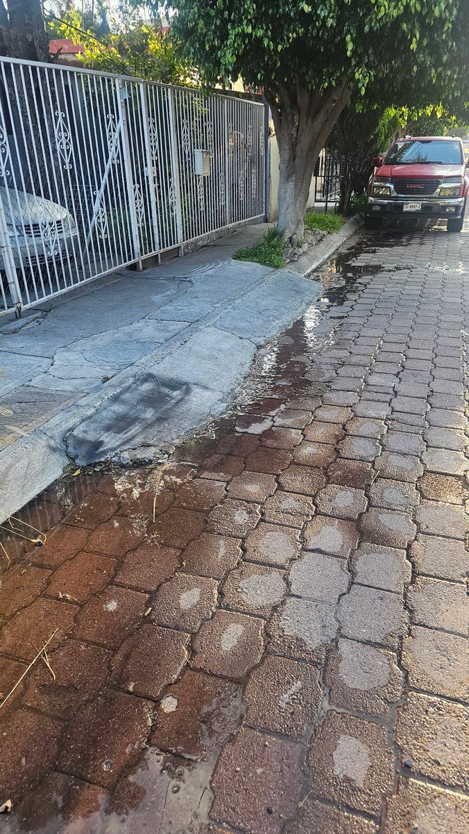 Carlos Morales tweet media