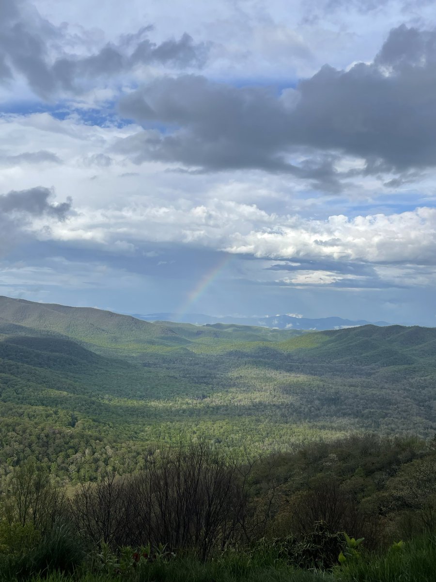 Cassie Clark tweet media