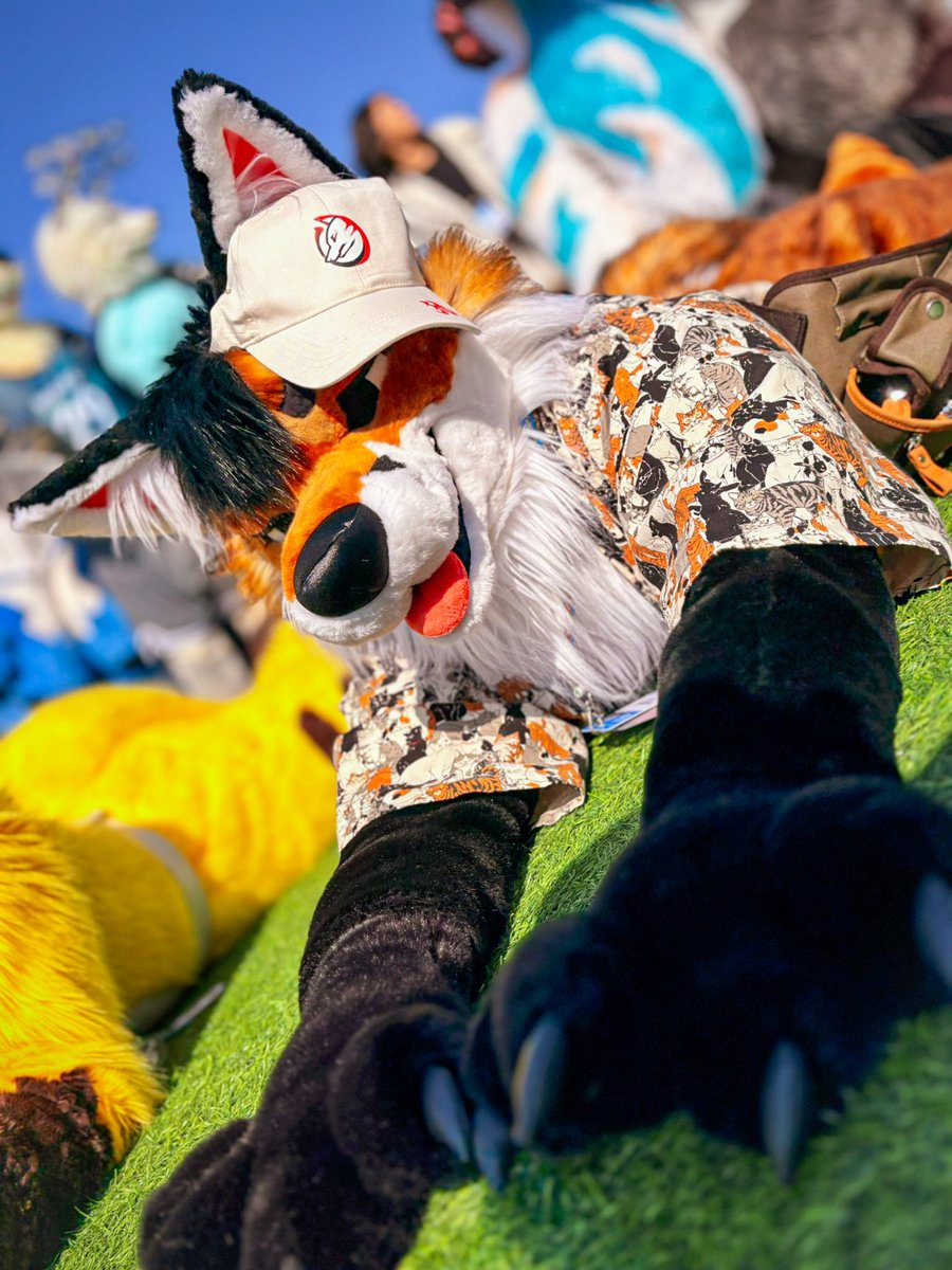 ﾐｮｰﾝ

📸<a href="/XennoChan/">瑞</a>