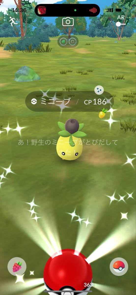 virizion111's tweet photo. 今日レベルアップじゃなかったんだ…
色違い2匹とまたガラルサンダーw☺️

#ポケモンGO #PokémonGO
#shinysmoliv https://t.co/x7OMPJvdnr