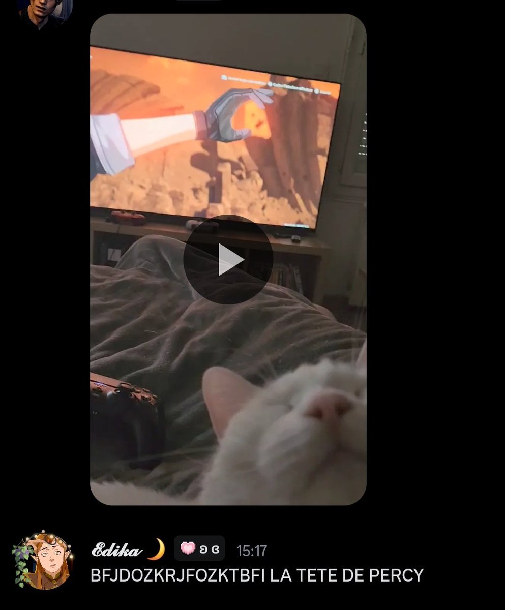 Hedikka's tweet image. Pov : ton copain veut t'envoyer une vidéo de son jeu mais vous avez un chat