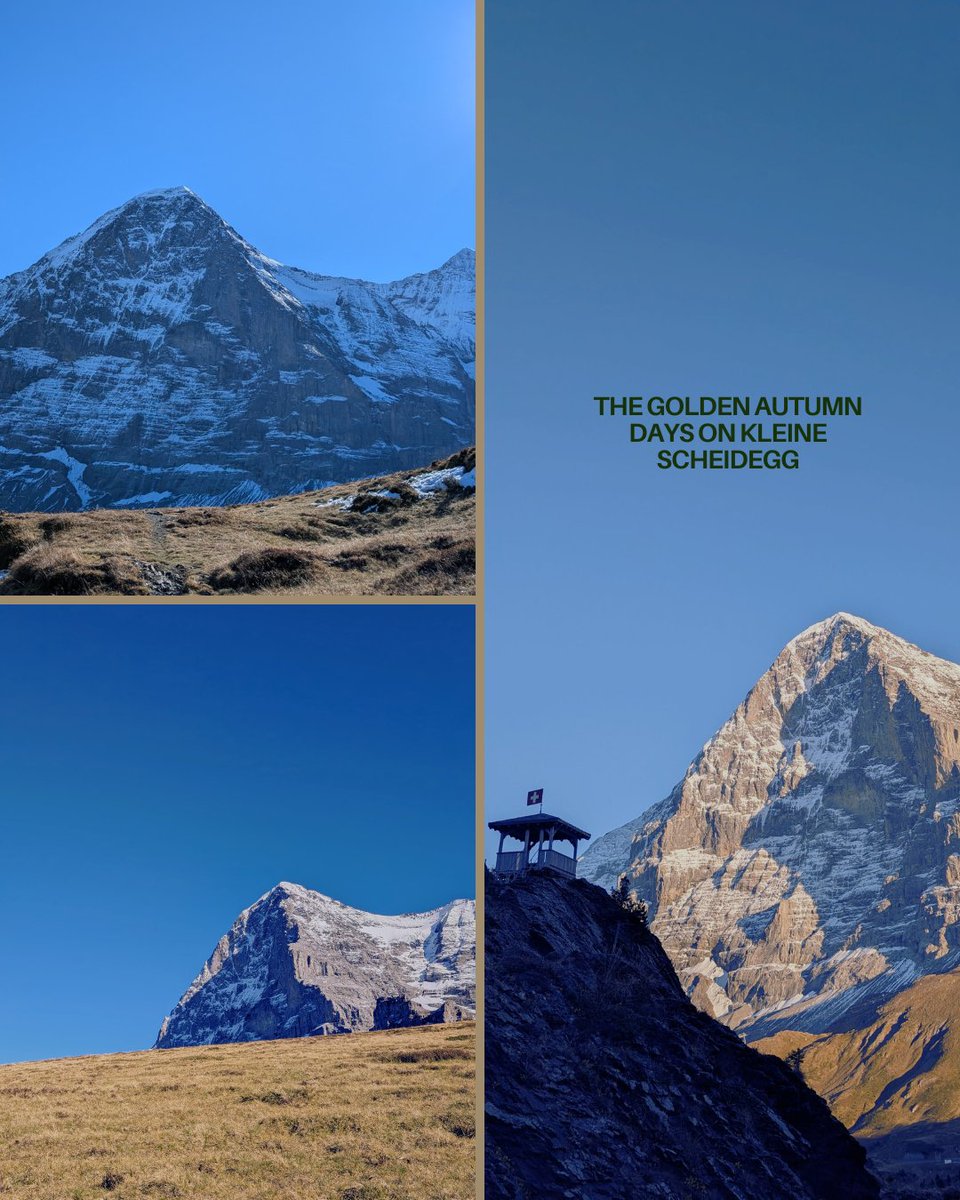 Goldener Herbst 2.1 
noch immer... die Sonne lacht. Was will man mehr? ☀️🍂  🤩 😍
#goldigerherbst #klarebergluft #übermnebel #sonnenschein #herbstliebe #bergmomente #indieberge #herbstwanderung #Grindelwald #Jungfrauregion #jungfrauskiregion #ilovemyskiinstructor