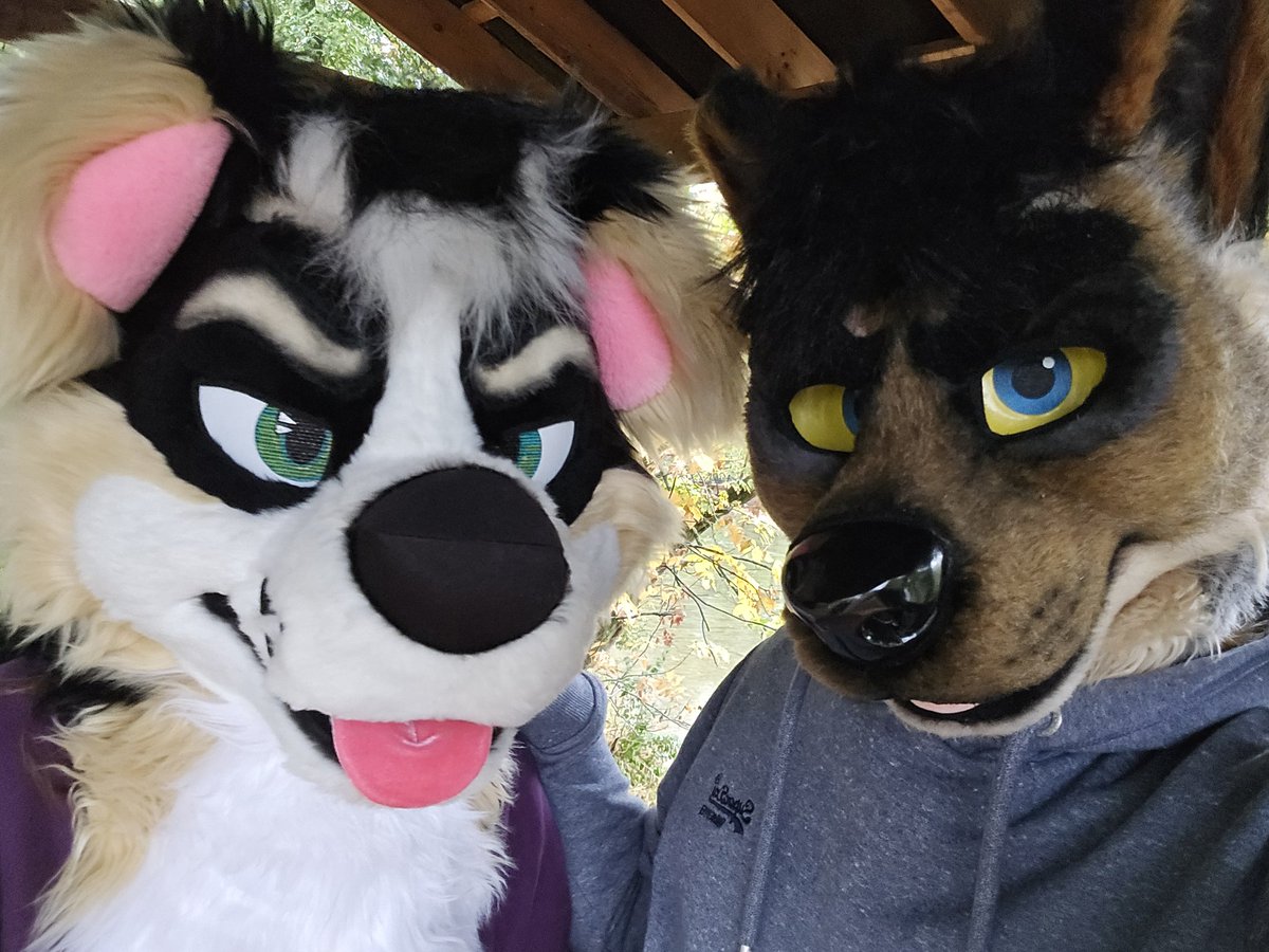 jackal time tweet media