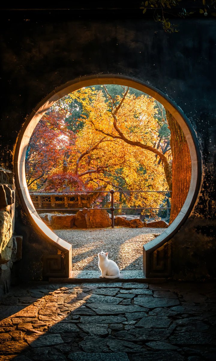 🍀qingqing🍀（互fo） tweet media
