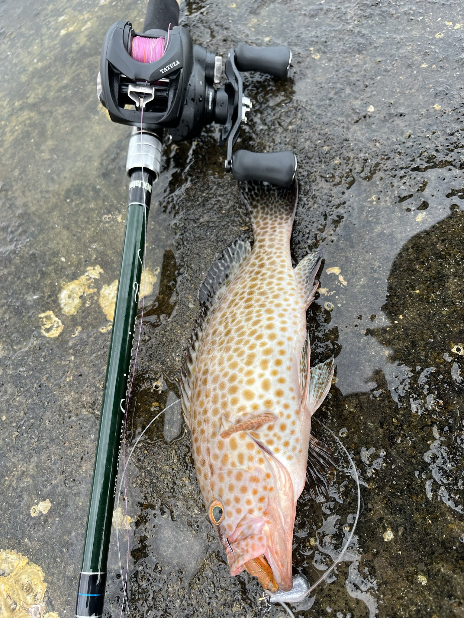 INX.label 公式 (@inxlabel_jp) / X