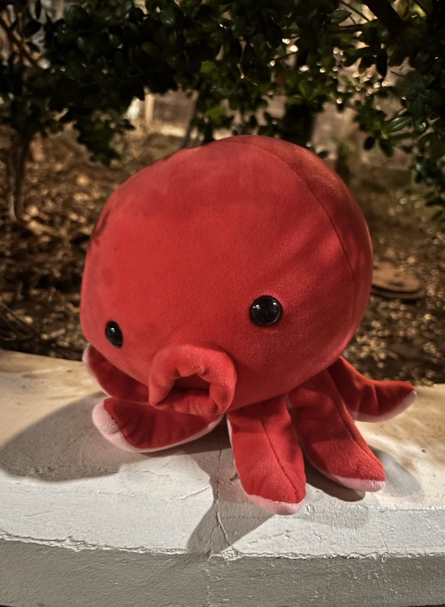 うちの家の前にタコピー置いたの誰だっピ