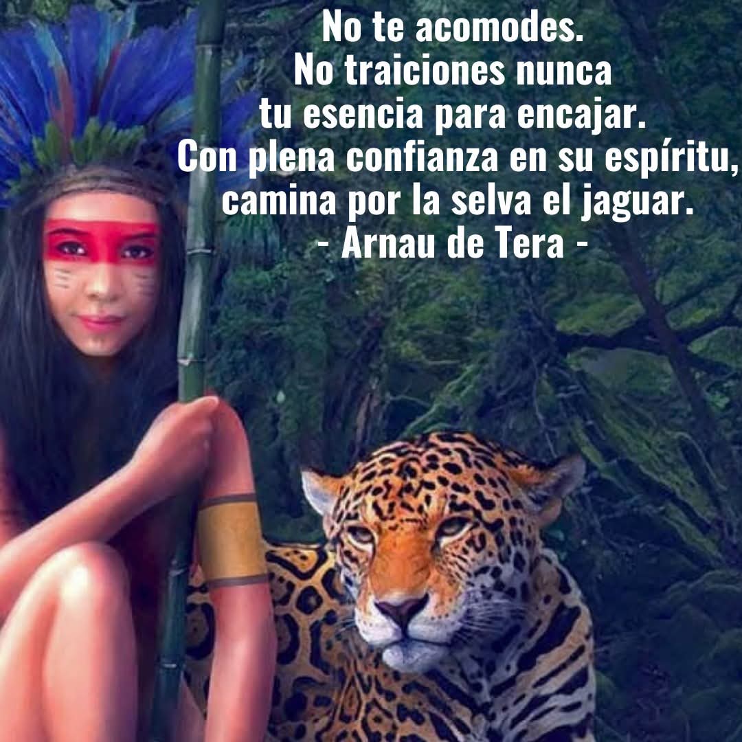 Arnau de Tera (@arnautera) on Twitter photo 