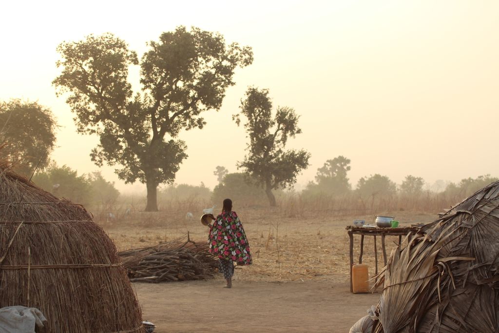 📣 NEW REPORT: Women in farmer-herder conflicts: Case studies from Sudan and Nigeria

♀️ What are the experiences of women in farmer-herder #conflicts in #drylands? How does insecurity affect them &amp; how can they be supported to become #resilient?

Don't miss our report 👉  :