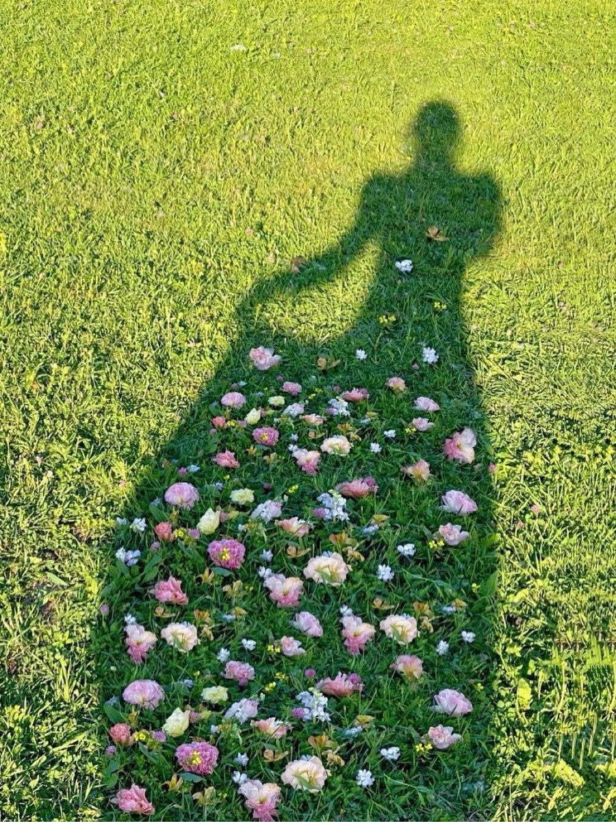 𝒩𝒾𝓁𝓈 ✨ tweet media