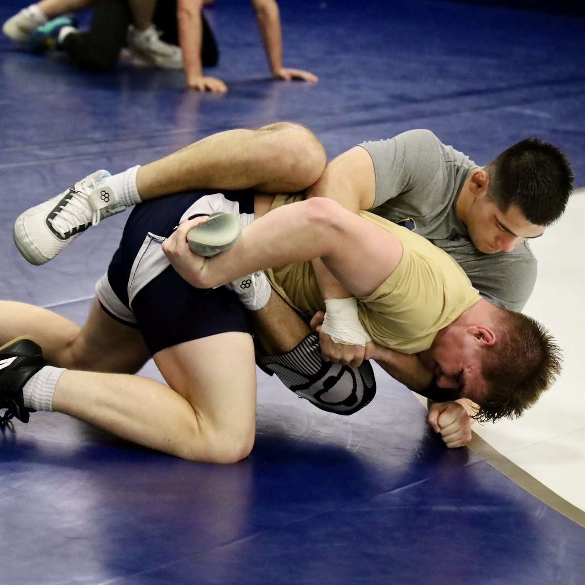 Navy Wrestling tweet media