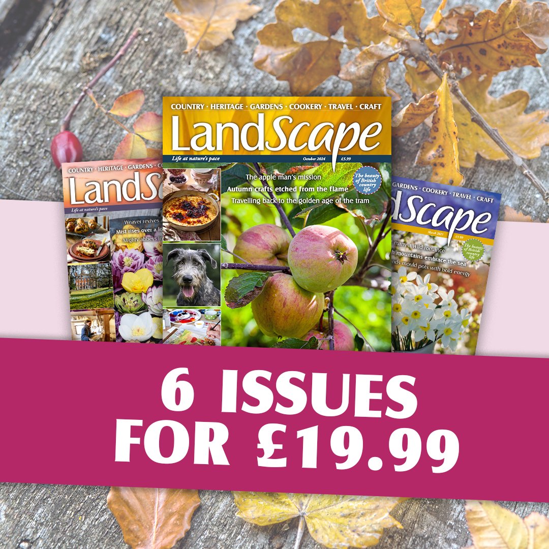 Enjoy 6 issues of LandScape Magazine for just £19.99! Each issue is filled with breathtaking photography, expert gardening advice, traditional crafts, and recipes that celebrate the seasons. 
Subscribe here: bit.ly/4nJCF4b