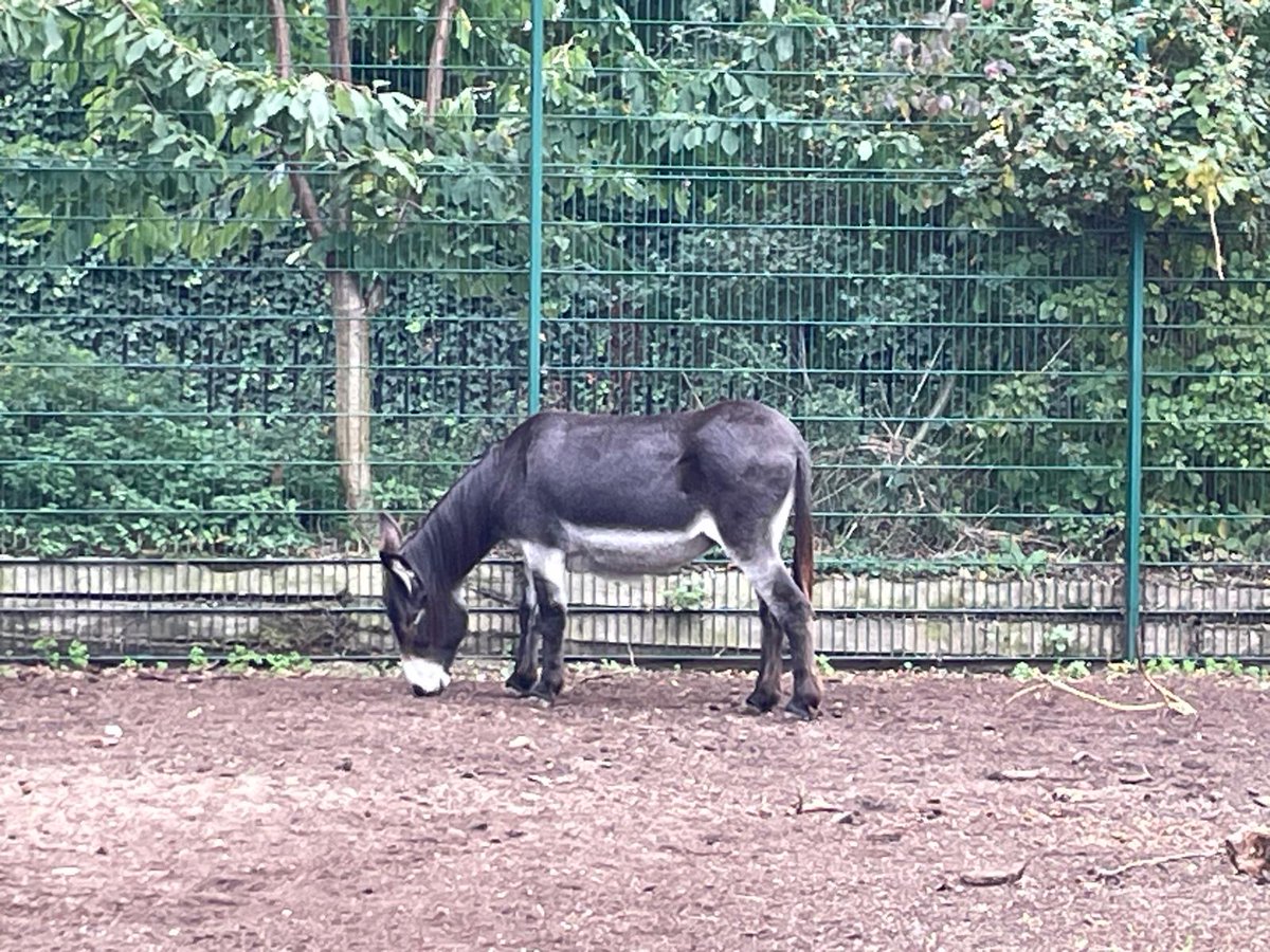 Haggie Partners tweet media