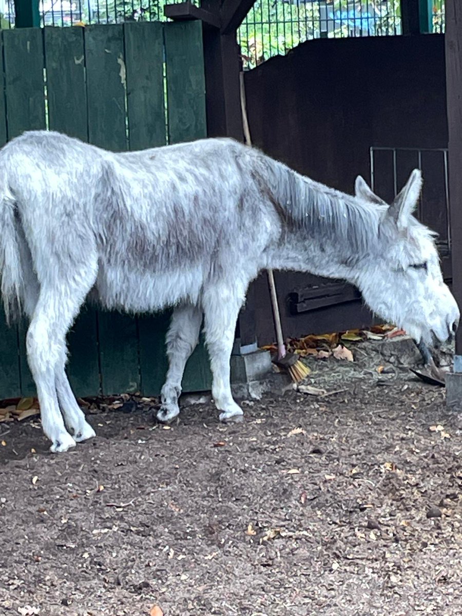 Haggie Partners tweet media