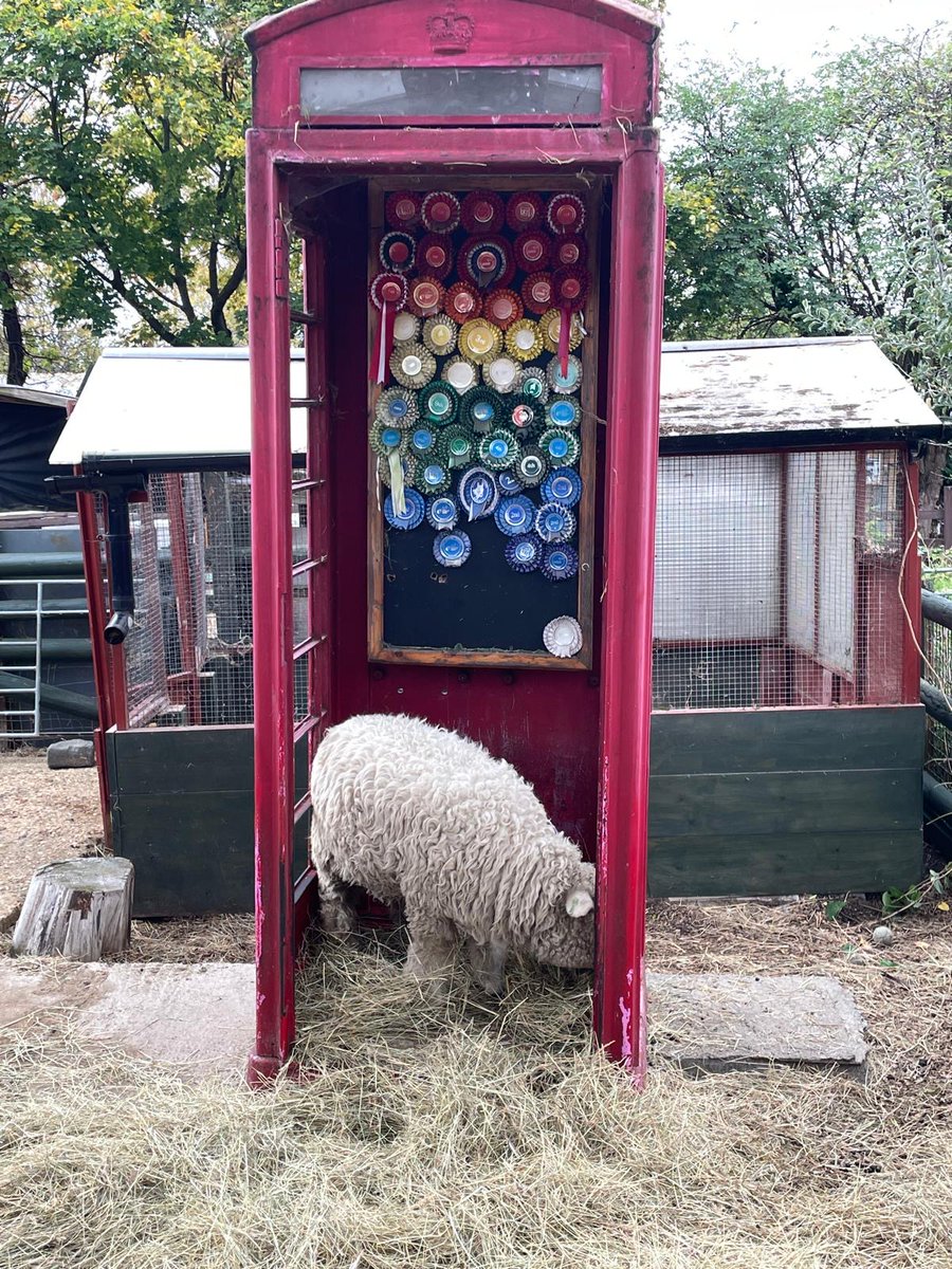 Haggie Partners tweet media