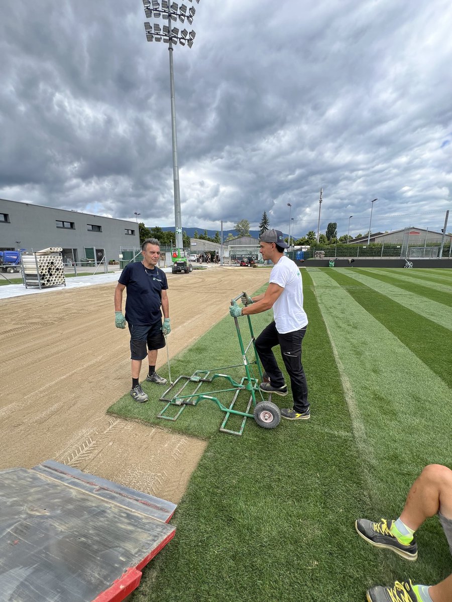 The secret behind all our projects: teamwork🌱👀