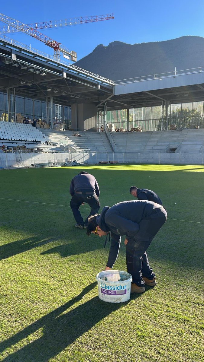 FLexGrass tweet media