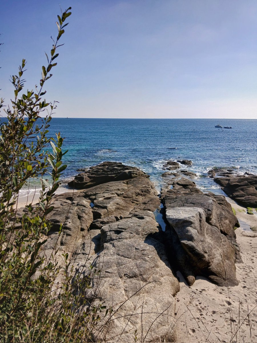 La #Bretagne sous ses plus belles couleurs ☀️🌊
Bel après-midi 😊