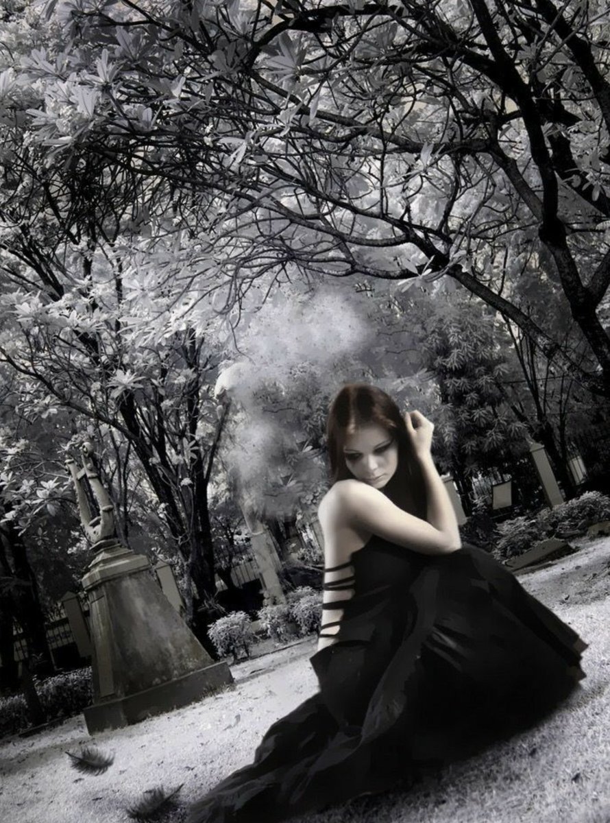 AndiMarchal's tweet photo. The cemetery serenades
But I am clinging to reluctance
Malevolent shrines sing homage
To its beetles carved in stone
I run my hand over the iron gates
My heart beats at a rapid pace
My soul craves this baleful place

#macabrewords
#FoxProse
#vss365
#fairytalepoets
@fairytalepoets https://t.co/hVFWWhOFW9