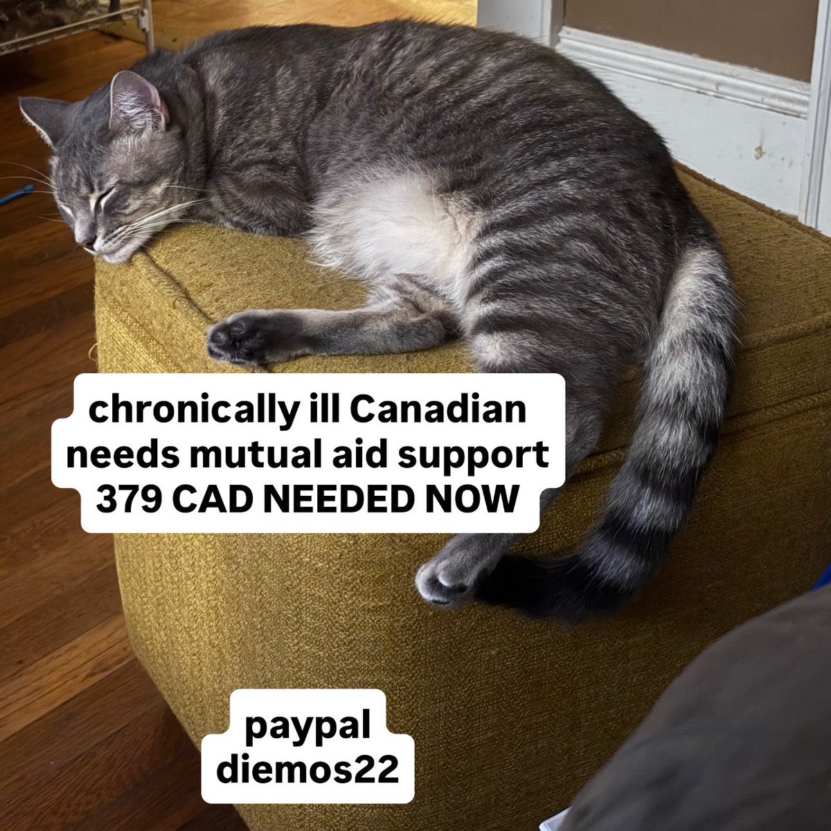 hyperverbal_lee's tweet image. URGENT MUTUAL AID
disabled and chronically ill Canadian is trying to climb uphill through quicksand
their family won’t help them
they’re killing themself trying to work and still not making ends meet
THIS IS HOW WE LOSE PEOPLE
please help my friend idk what to do